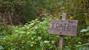 Trail Sign Post
